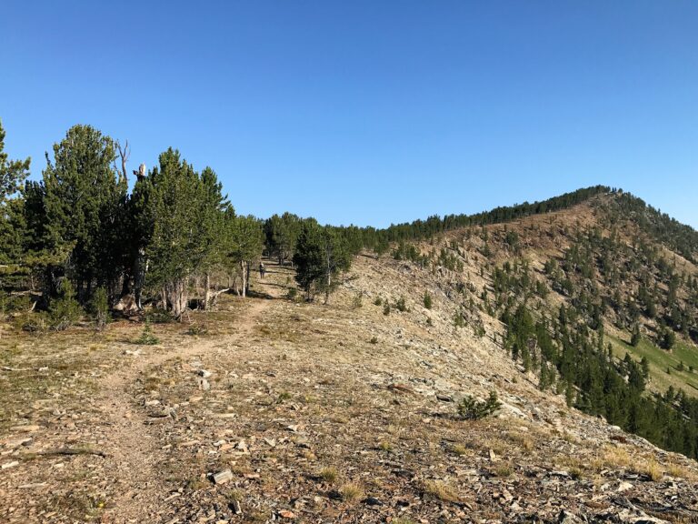CDT Day 121: Goldstone Pass to Hamby Creek