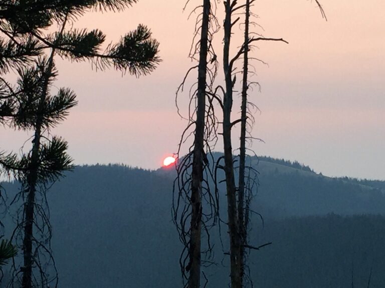 CDT Day 125: Chief Joseph Pass