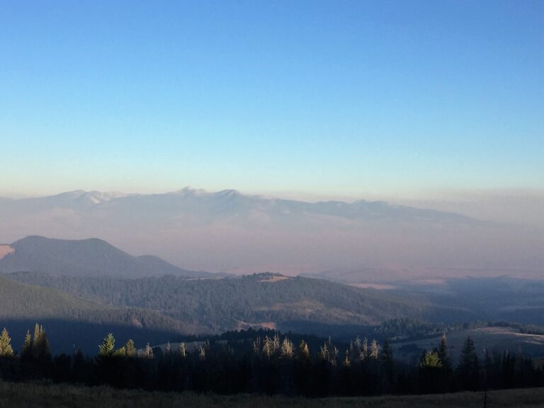 CDT Day 133: Cow & Wildlife Country