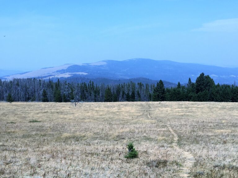 CDT Day 135: Zero Day in Helena