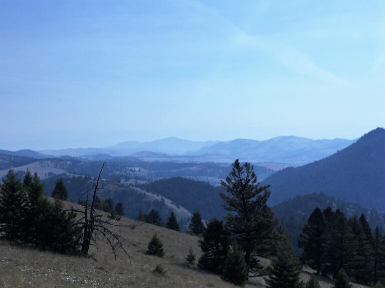 CDT Day 136: Day of the Solar Eclipse