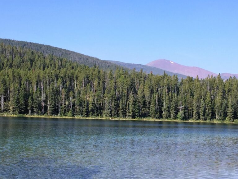 CDT Day 140: Scapegoat Wilderness