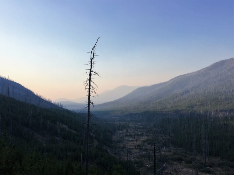 CDT Day 141: Scapegoat Wilderness to Benchmark