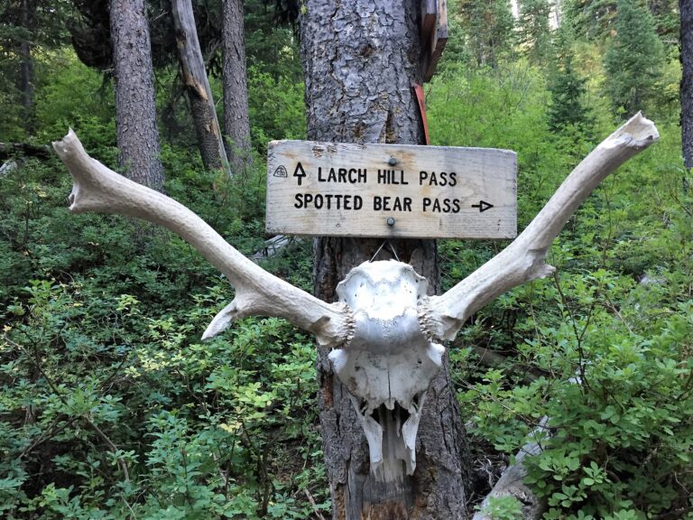 CDT Day 143: Spotted Bear Alternative