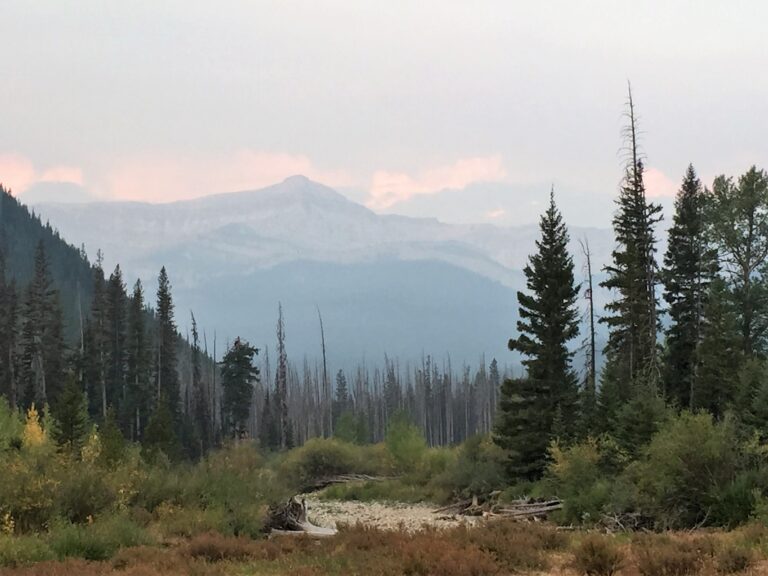 CDT Day 144: Back on the CDT in the Bob