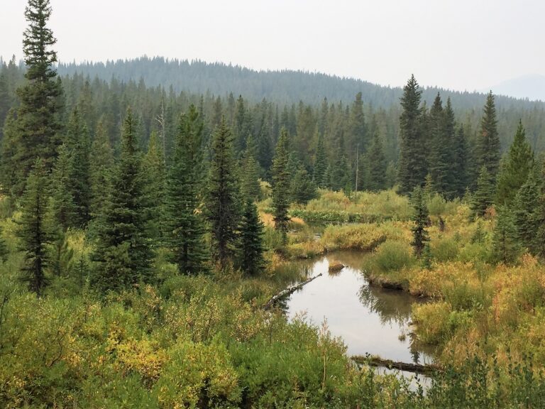 CDT Day 145: Two Medicine River to Mariah Pass