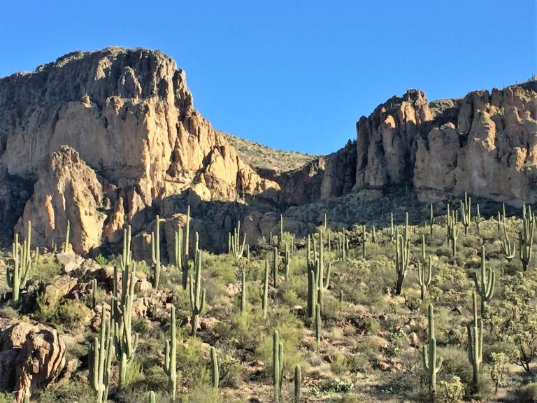 GET Day 2: Another Superstition Day