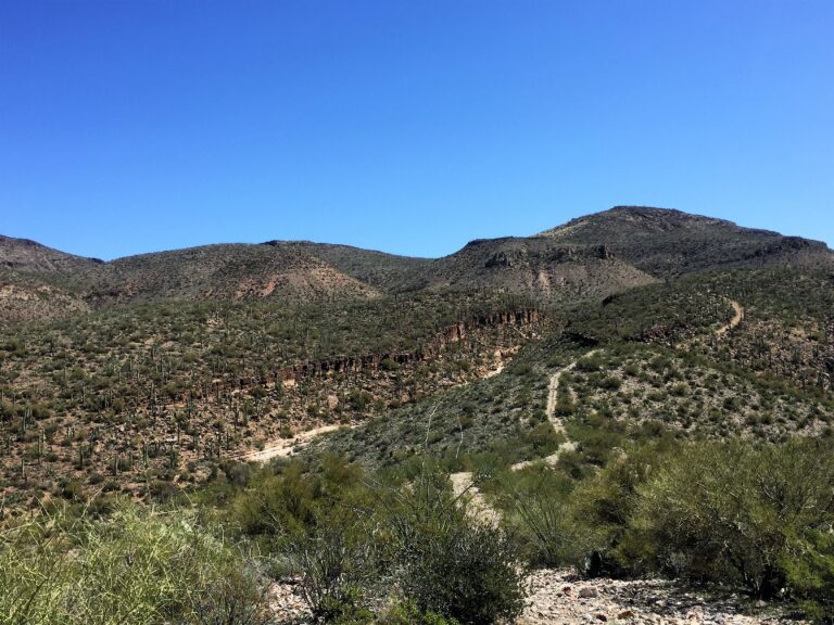 GET Day 10: Brandenburg Ranger Station