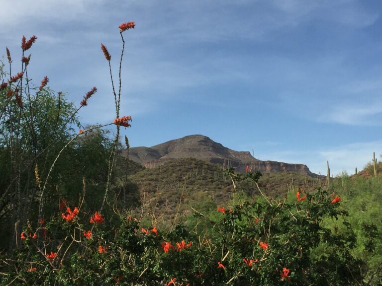 GET Day 11: To the Edge of Aravaipa Canyon