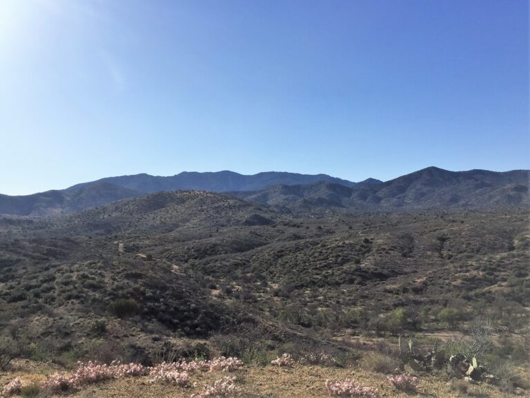 GET Day 14: Pinaleno Mountains