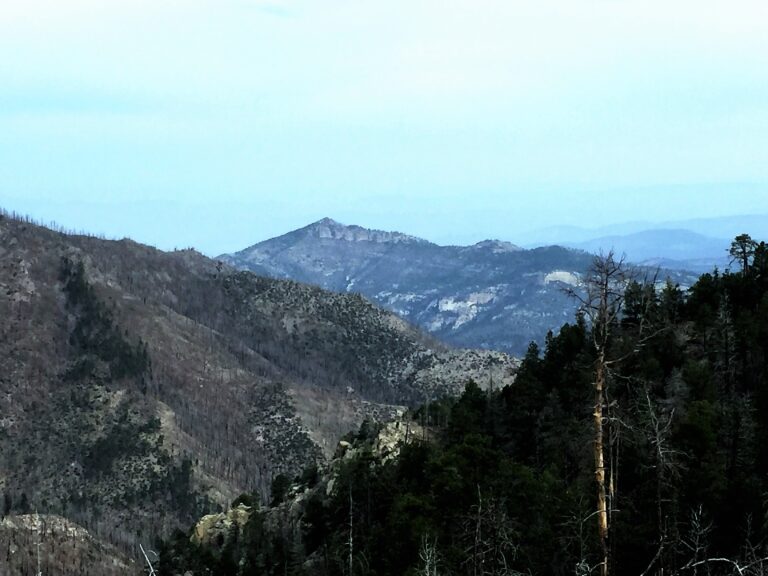 GET Day 28: Gila Wilderness & Mogollon Baldy