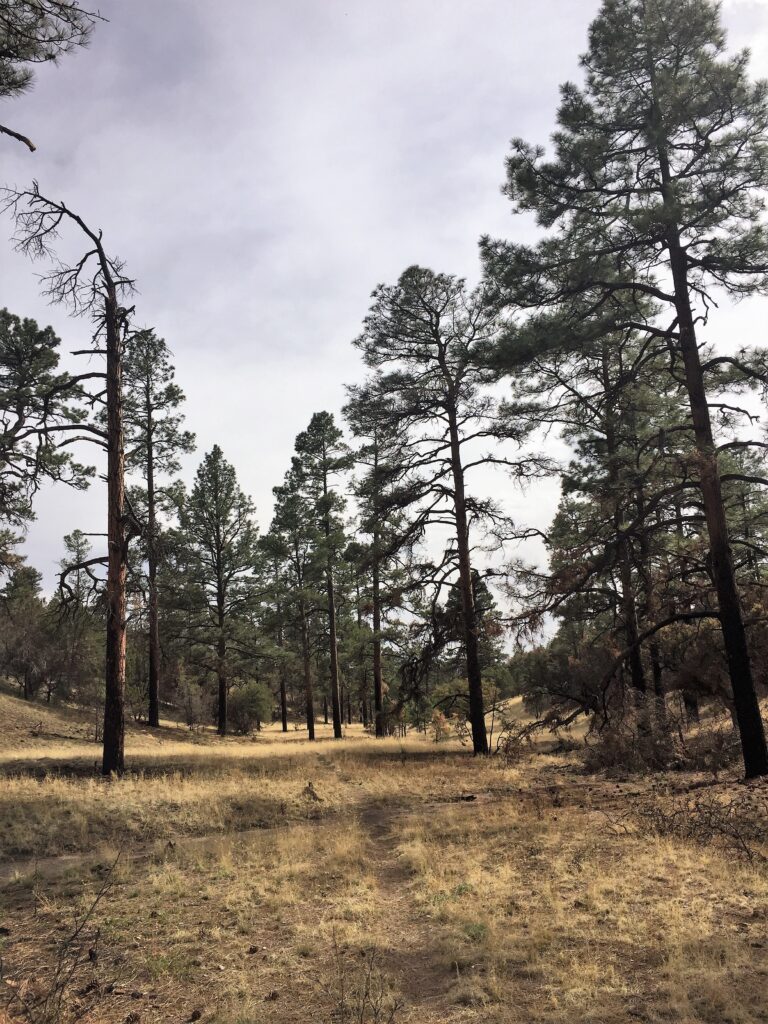 GET Day 32: The Black Range