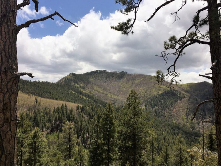 GET Day 33: Aldo Leopold Wilderness