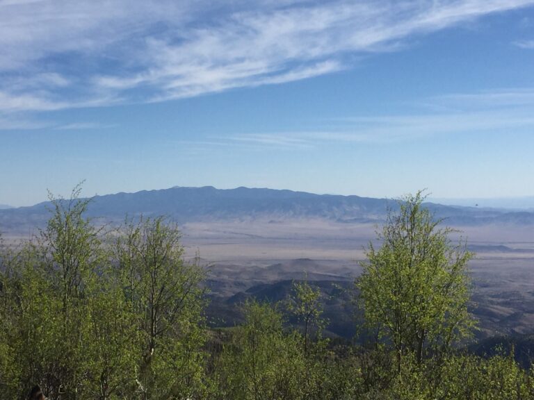 GET Day 40: Still in the San Mateos