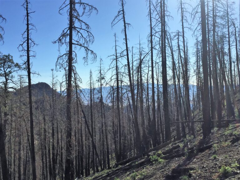 GET Day 41: Potato & Big Rosa Canyons