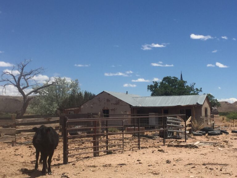 GET Day 46: Sevilleta National Wildlife Refuge