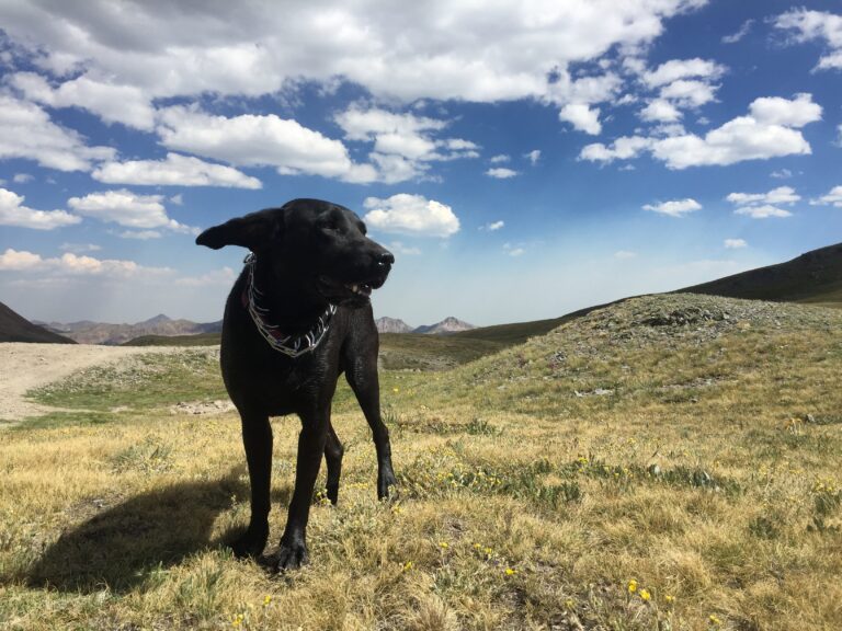 HDT: Can’t Get Enough