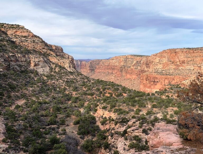 HDT Day 12: Young’s Canyon to Dark Canyon