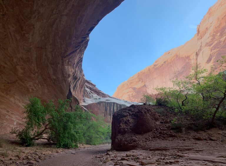 HDT Day 21: Muley Twist to Halls Creek Narrows