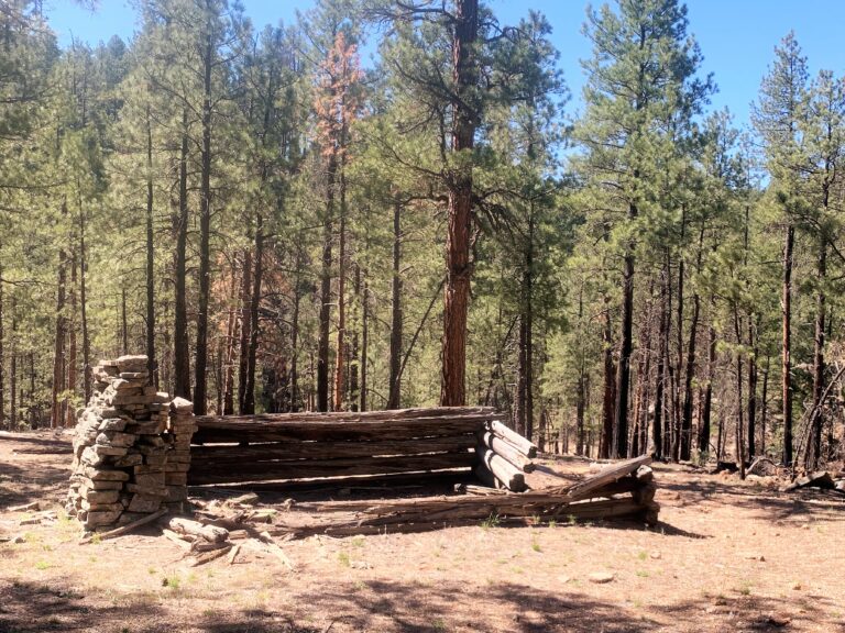 MRT Day 10: West Clear Creek & Pine Canyon Tl