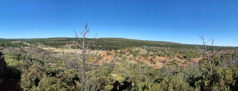 MRT Day 20: Pinedale & White Mtn Trail System