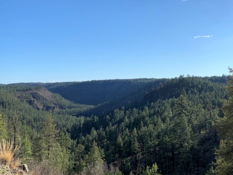 MRT Day 28: Black River