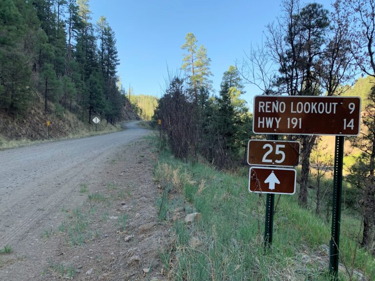 MRT Day 29: FR25 to Coronado Trail Scenic Byway