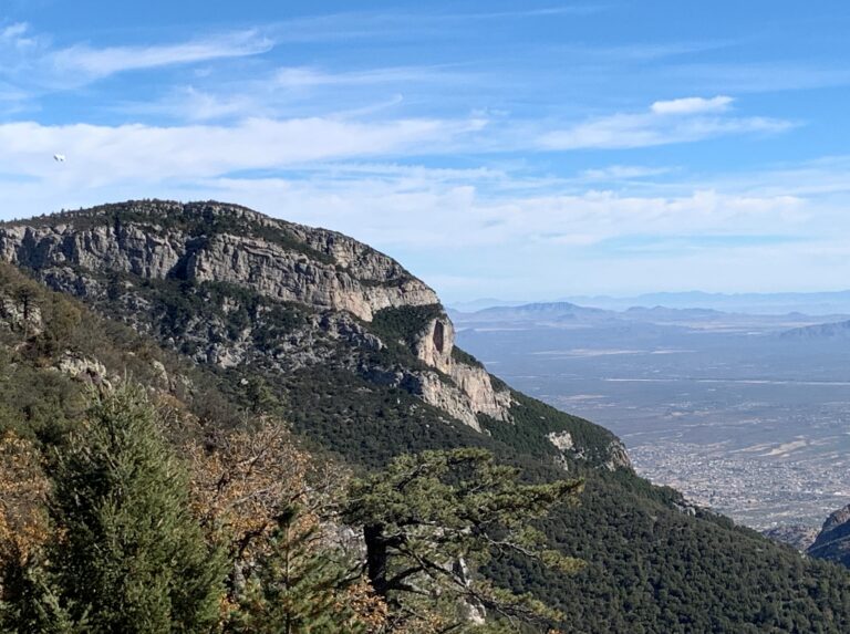 SKIT: Arizona Winter