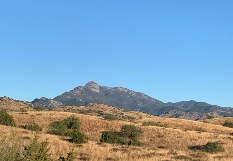 SKIT Day 11: Santa Rita Mountains