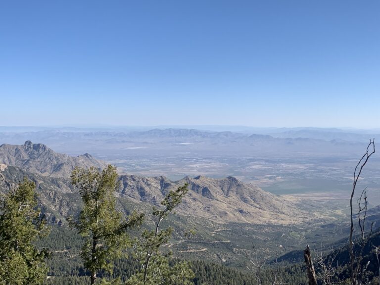 SKIT Day 29: Between Sky Islands Once Again