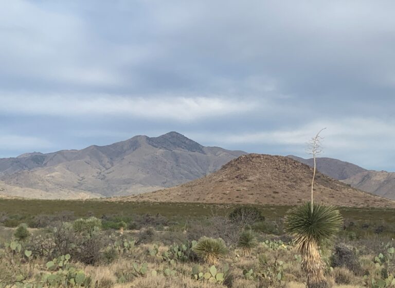 SKIT Day 34: Chiricahua Mountains