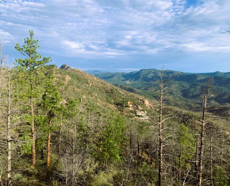 CT Day 2: Pike National Forest