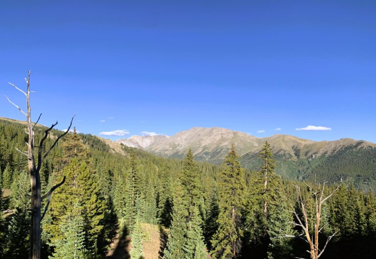 CT Day 15: Collegiate Peaks to Cottonwood Creek