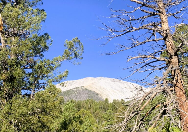 CT Day 17: Along More Peaks to Monarch Pass
