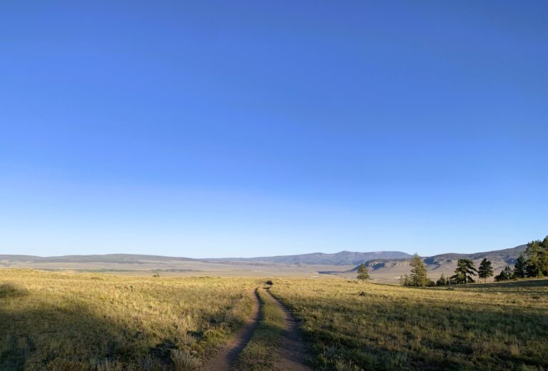 CT Day 22: Cochetopa Crk & La Garita Wilderness