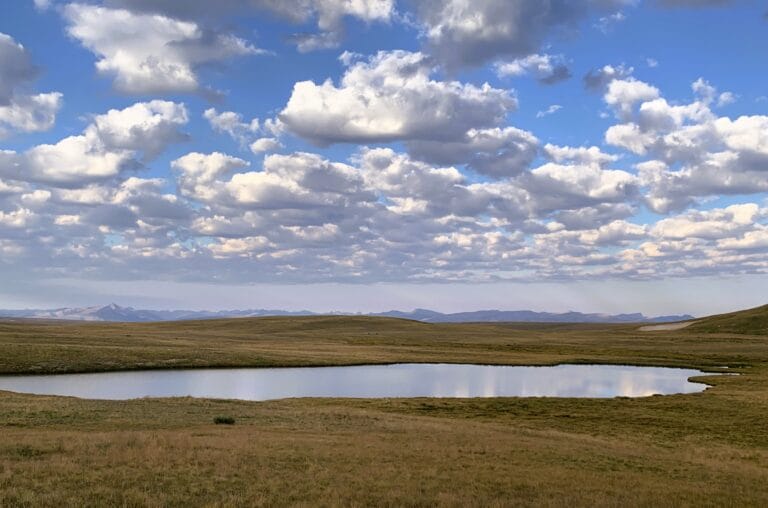 CT Day 25: Zero Day in Lake City