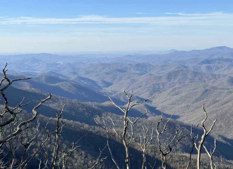 AT Day 8: Southern Nantahala Wilderness