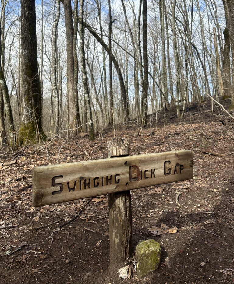 AT Day 11: Wayah Bald & Rocky Bald