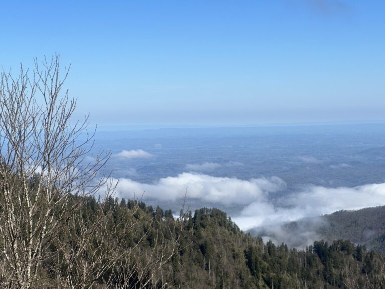 AT Day 18: GSMNP to Past Mt Guyot