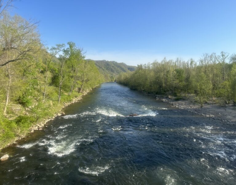 AT Day 28: Unaka Mountain