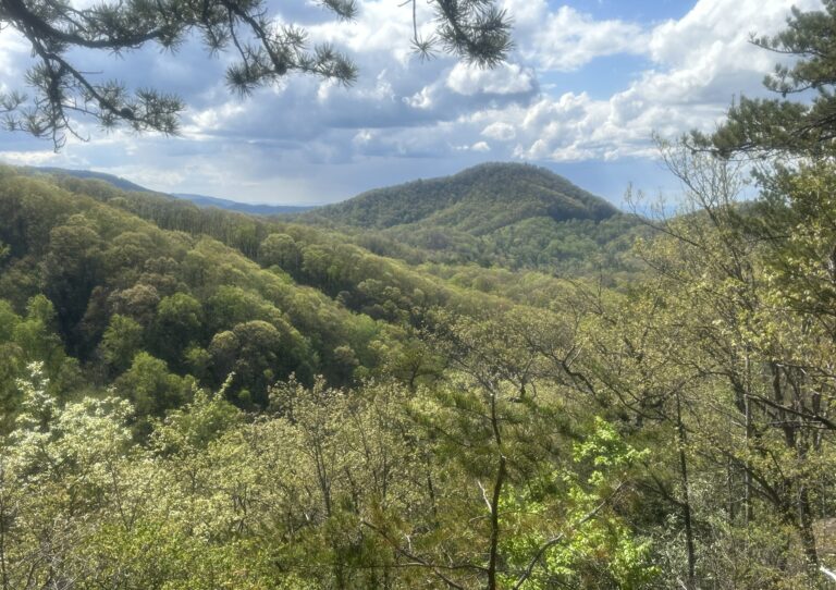 AT Day 31: Cherokee NF to Black Bear Resort