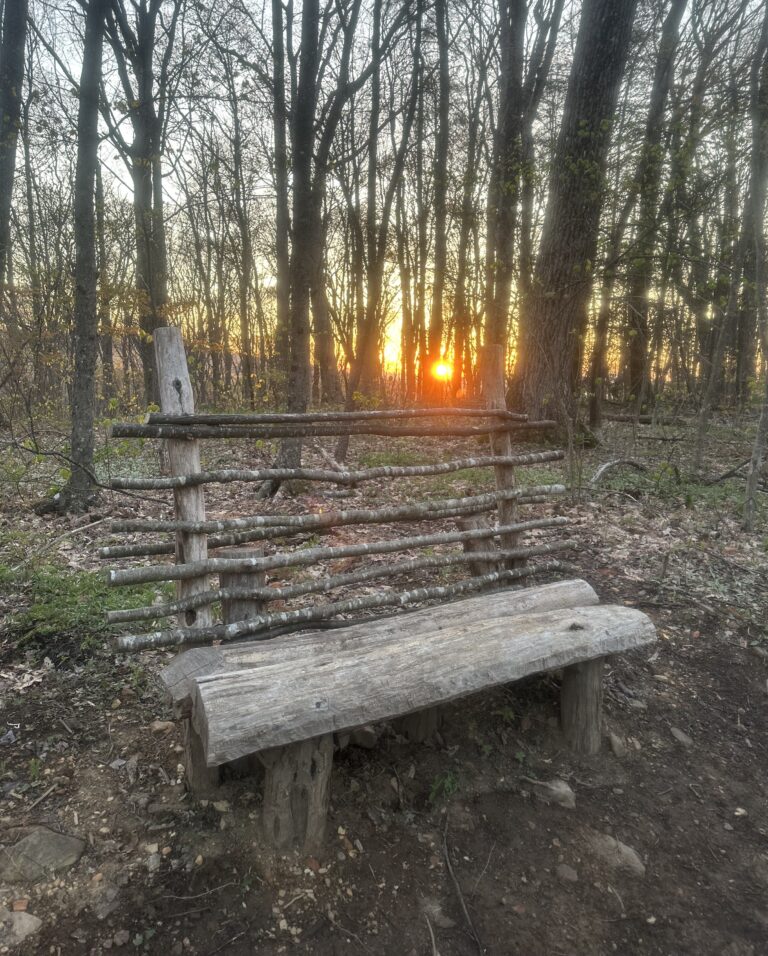 AT Day 35: Goodbye Tennessee, Hello Virginia!