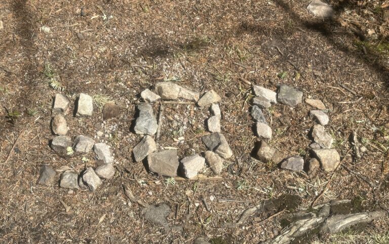 AT Day 38: Mt Rogers & Grayson Highlands