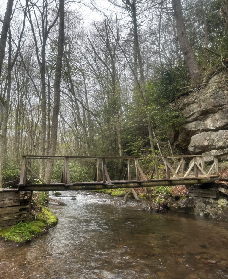 AT Day 39: Jefferson National Forest