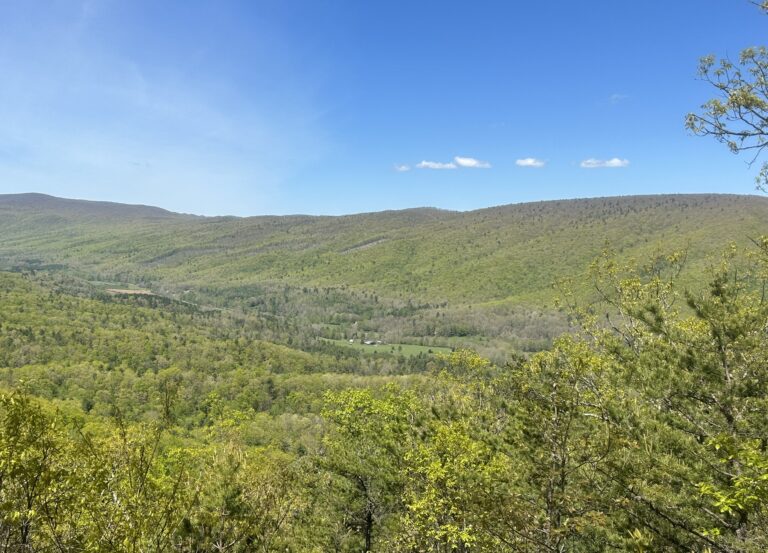 AT Day 44: Another Day in Jefferson NF