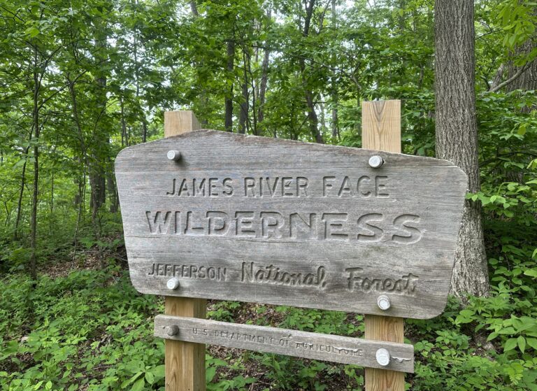 AT Day 56: James River Face Wilderness