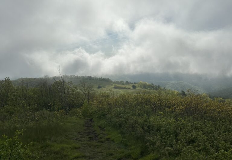 AT Day 59: Into the Priest River Wilderness