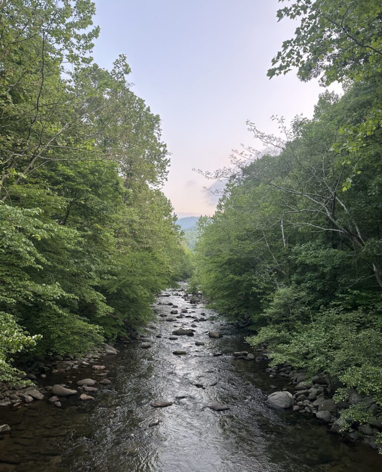 AT Day 60: Hanging Rock & Humpback Mountain