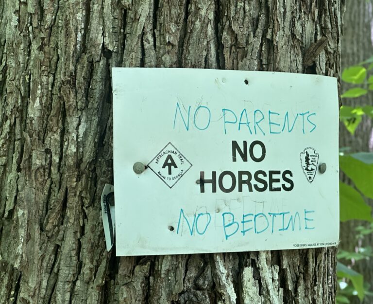 AT Day 70: Virginia Green Tunnel