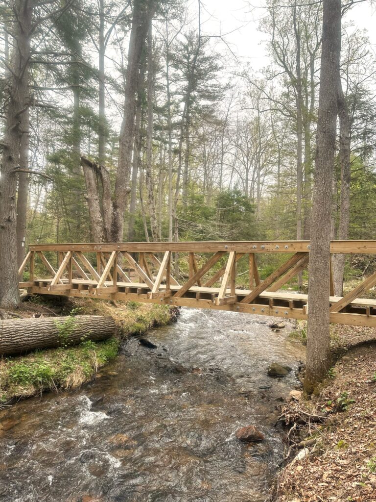 AT Day 77: Pennsylvania Pines